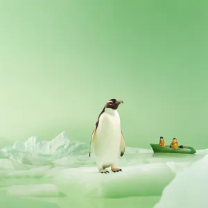 Antarctica Expedition Cruises: What You Need to Know