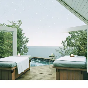 Spa, Sauna & Stargazing: Wellness on Luxury Nature Cruises