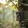Outdoor Trail Cameras for Capturing Nature Up Close