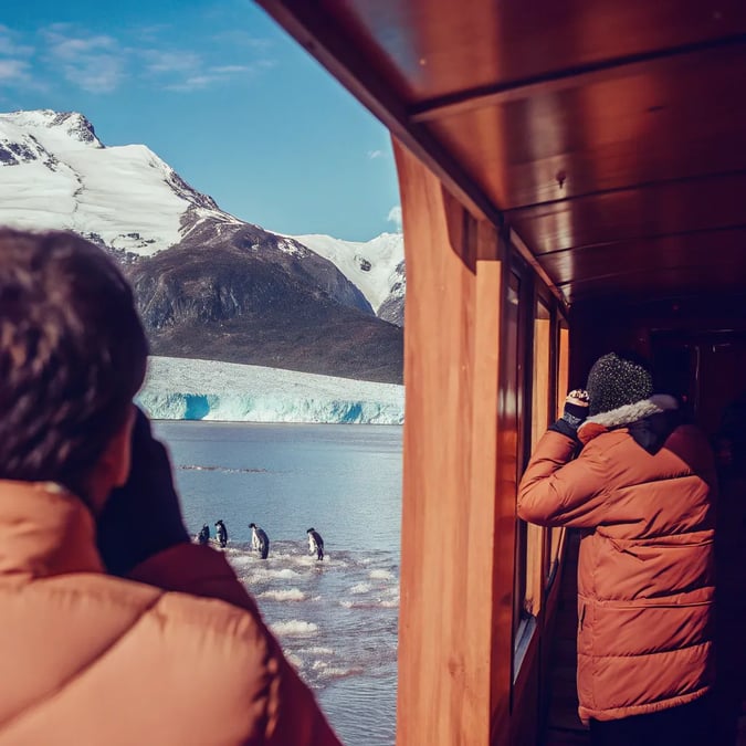 Antarctica Expedition Cruises: What You Need to Know