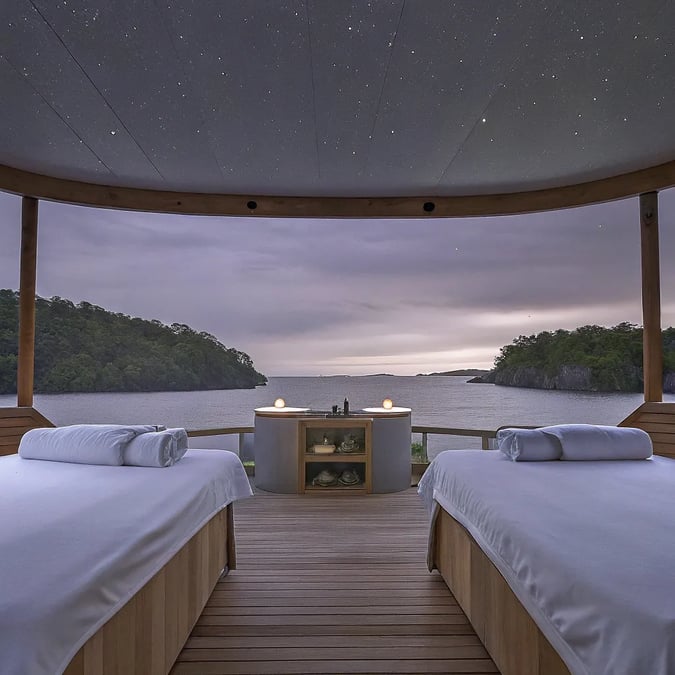 Spa, Sauna & Stargazing: Wellness on Luxury Nature Cruises
